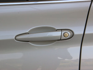 2013款320i 设计套装型 主驾门拉手