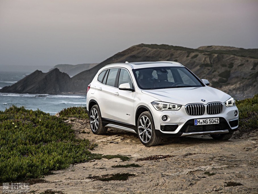 2015RX1(M) xDrive20d