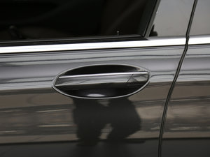 2017款740Li xDrive 豪华型 主驾门拉手