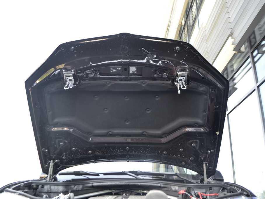 2017RX5(M) xDrive35i 