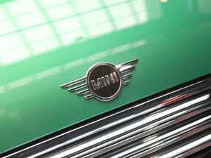 2019T 1.5T COOPER 60o ^