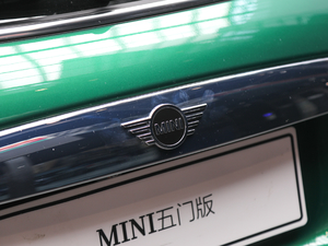 2019T 1.5T COOPER 60o ^