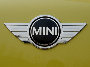 2011COOPER EXCITEMENT (x)(ji)^