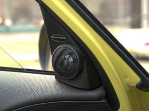 2011COOPER EXCITEMENT g