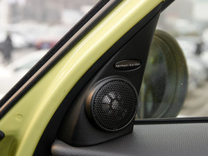 2011COOPER EXCITEMENT g