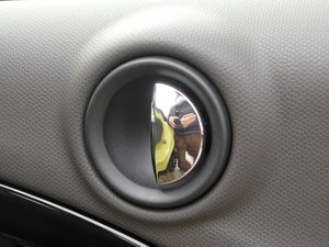 2011COOPER EXCITEMENT g