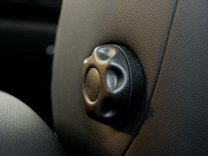 2011COOPER EXCITEMENT g