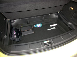 2011COOPER EXCITEMENT g