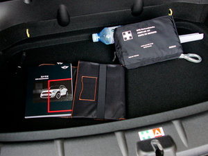 2011COOPER EXCITEMENT g