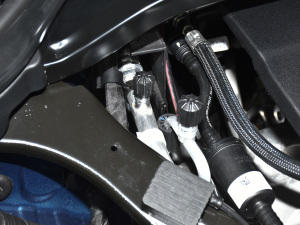 2021款1.5T COOPER ALL4 拉古纳蓝限量版  其它