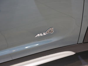 20212.0T COOPER S ALL4 ż{{(ln)  (x)(ji)^