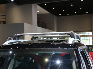 2021款2.0T COOPER S ALL4 拉古纳蓝限量版  细节外观