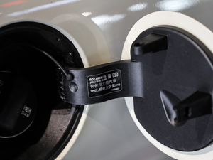 2021T 1.5T COOPER (jng) (ji)^