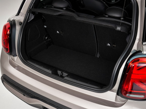 2022T 2.0T COOPER S  g