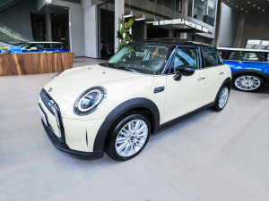 2022T 1.5T COOPER (jng)  w^