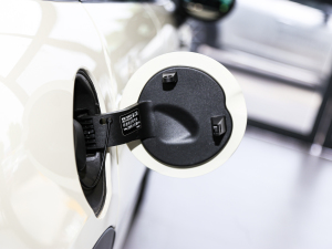 2022T 1.5T COOPER (jng)  (x)(ji)^