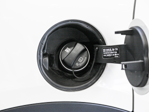 2022T 1.5T COOPER (jng)  (x)(ji)^