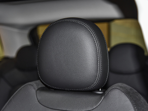 2022T 1.5T Camden  g