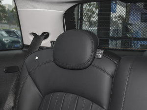 2022T 2.0T COOPER S The Coopers o g