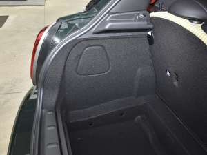 20222.0T COOPER S (zh)؄e T g