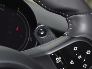 20222.0T COOPER S (zh)؄e T п؅^(q)