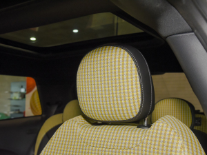 20222.0T COOPER S (zh)؄e g