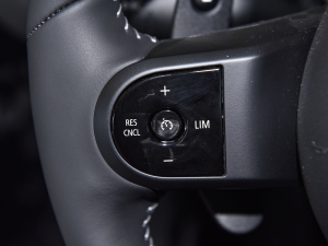 20222.0T COOPER S BRICK LANE  п؅^(q)