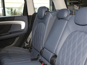 20232.0T COOPER S ALL4 bp g