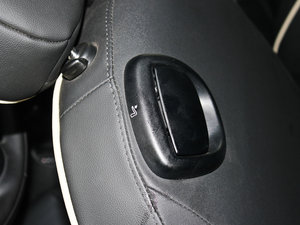 2011COOPER Excitement g