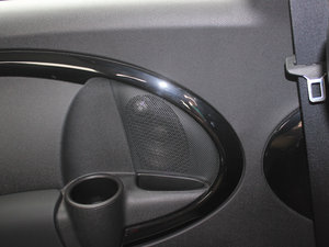 2011COOPER Excitement g