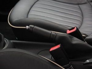 2011COOPER Excitement g