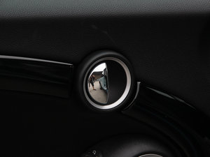 2011COOPER Excitement g