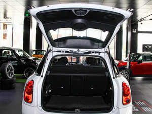 2013COOPER EXCITEMENT g