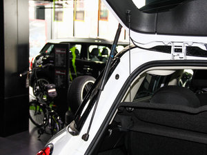 2013COOPER EXCITEMENT g