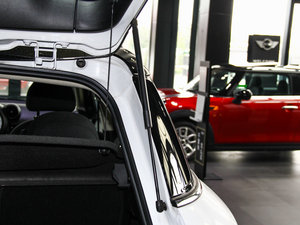 2013COOPER EXCITEMENT g