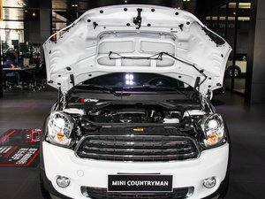 2013COOPER EXCITEMENT 