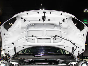 2013COOPER EXCITEMENT 