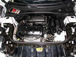 2013COOPER EXCITEMENT 