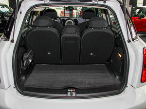 2013COOPER EXCITEMENT g