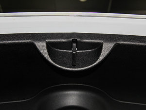 2013COOPER EXCITEMENT g