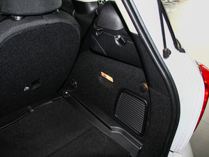 2013COOPER EXCITEMENT g