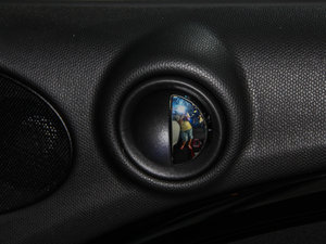 2013COOPER EXCITEMENT g