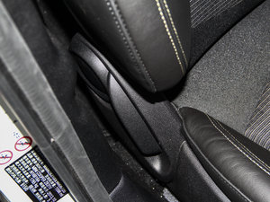 2013COOPER EXCITEMENT g