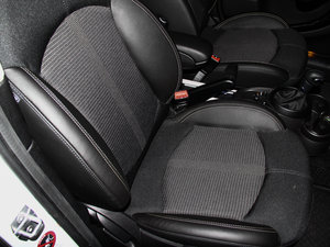 2013COOPER EXCITEMENT g