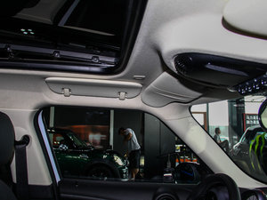 2013COOPER EXCITEMENT g