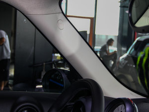 2013COOPER EXCITEMENT g