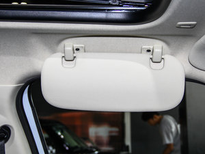 2013COOPER EXCITEMENT g