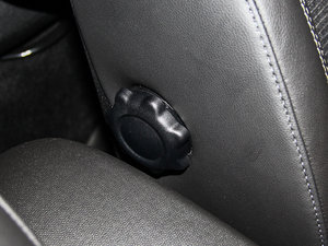 2013COOPER EXCITEMENT g