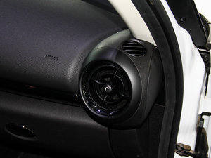 2013COOPER EXCITEMENT g