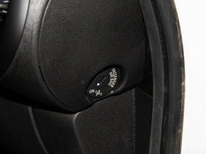 2013COOPER EXCITEMENT g